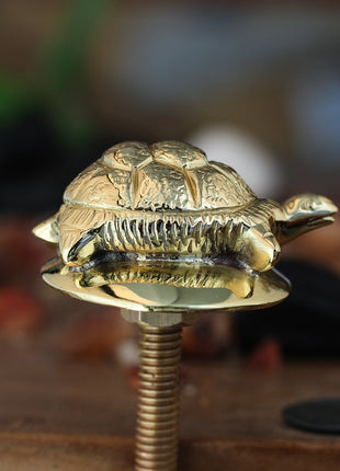 Decorative Tortoise Solid Brass Metal Knob