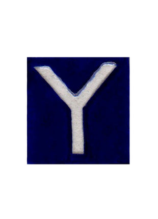 White Y alphabet blue tile (2x2)
